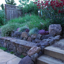 PP Xeriscape
