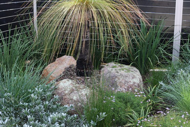 This is an example of a small contemporary partial sun xeriscape in Canberra - Queanbeyan.