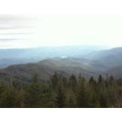 Kathy Mennega's photo