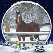 Foto von Mary Ellen Holcomb