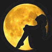 رضوى محمد's photo