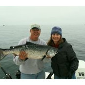 Gina Cline's photo