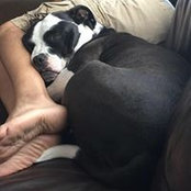 Nick Slavado's photo