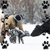 Debbie Mead's photo