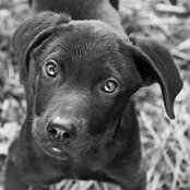 Ellen Yeiser's photo