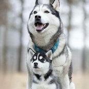 Chris Peters's photo