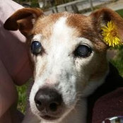 Britta Smith Chavez's photo