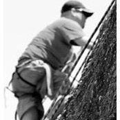 Brandon Grigg's photo