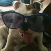 Michael Gabriel's photo