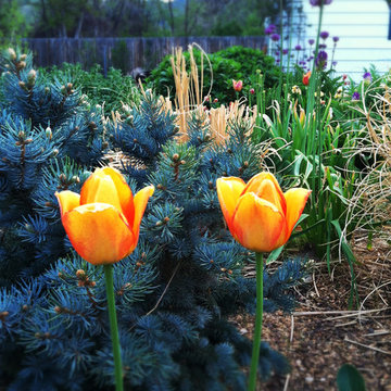 Horticultural Eclecticsm