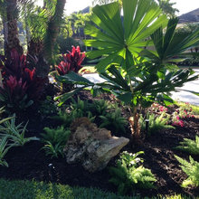 Front yard