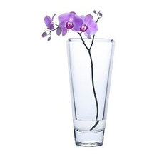 VASES