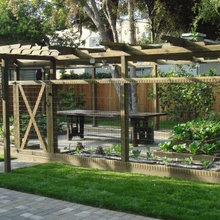 Veggie Garden