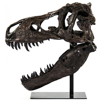 Sculpture T-Rex Skull Dinosaur Chocolate Ebony Black Brown Poly Resin