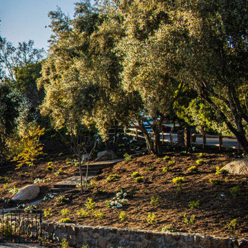 Tudor Landscaping, Rancho Santa Fe CA