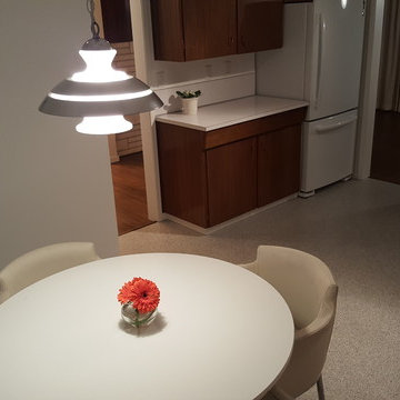 Time Capsule Midcentury Modern