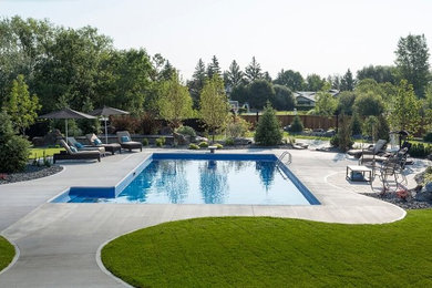 Example of a trendy pool design in Other