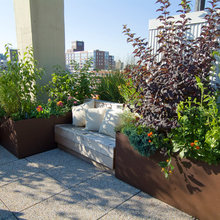 Lush Urban Gardens