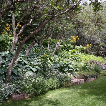 Perennial Gardens