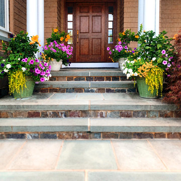 Sensational Summer Color