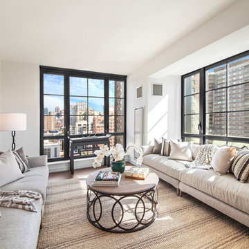 Transitional Living Room