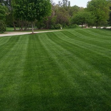 Lawns