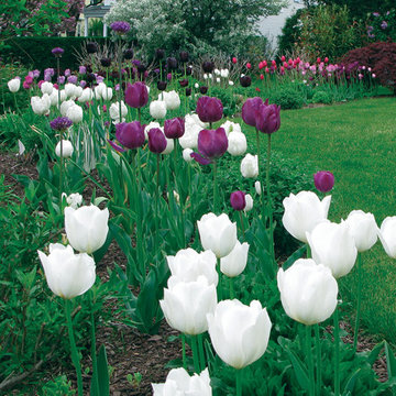 Circular Waterfront Garden - Darien, CT
