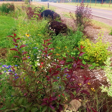 Before & After Master Gardener Landscape Makeover Lawn Reduction & Rain Gardens