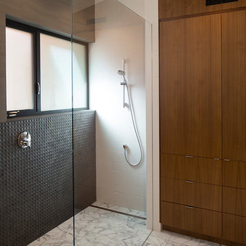 Master Bath Shower