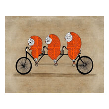 owls