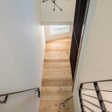 Modern Farmhouse
