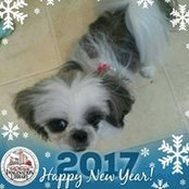 Denise MacDonald's photo