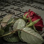 Brenda Adams's photo