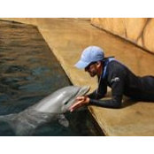 Cameron Bullock's photo