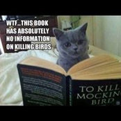 Jessica van Rossem's photo
