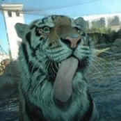 Eric Brumfield's photo