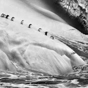 danielle marino's photo