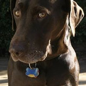 Phil Palmer's photo