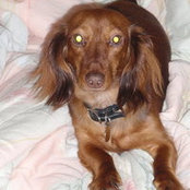 Leigh Panek Smith's photo