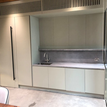Eagle street Garden room
