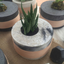 Ms Medez - Indoor Pots And Planters