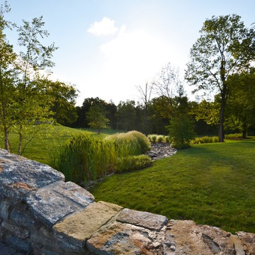 Creek Swales