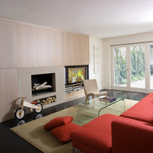 TV and Fireplace