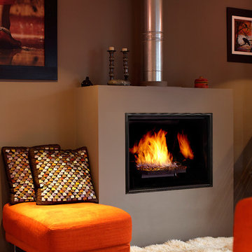 TC42 Indoor gas fireplace