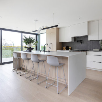 Contemporary City Renovation