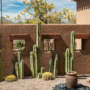 Golden Barrel Cactus Landscaping Ideas | Houzz