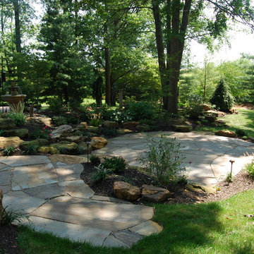 Natural Backyard