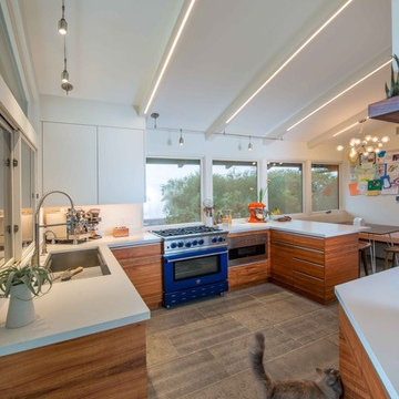 Mid-Century Kitchen Remodel