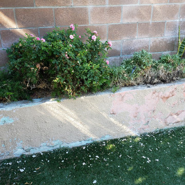 Backyard clean up and remodel