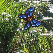 Diane Przyllas's photo